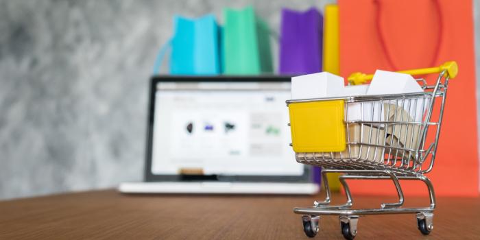 Software Development